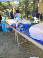 /album/foto-protomagiatiko-glenti/dsc-0111-jpg/